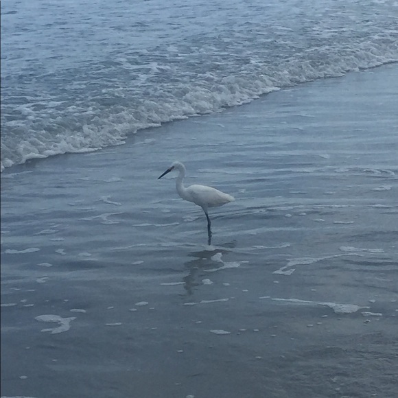 Meet your Posher, Monica - Picture 1 of 1